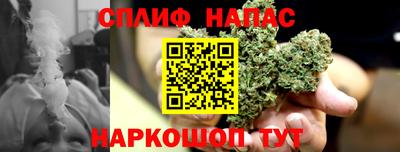 шишки Партизанск