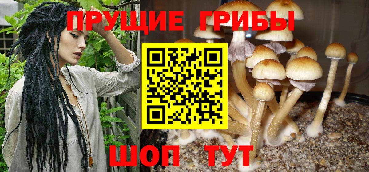 Шали  Псилоцибиновые грибы Magic Shrooms  Вход с VPN 