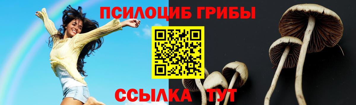 Псилоцибиновые грибы ЛСД Шали